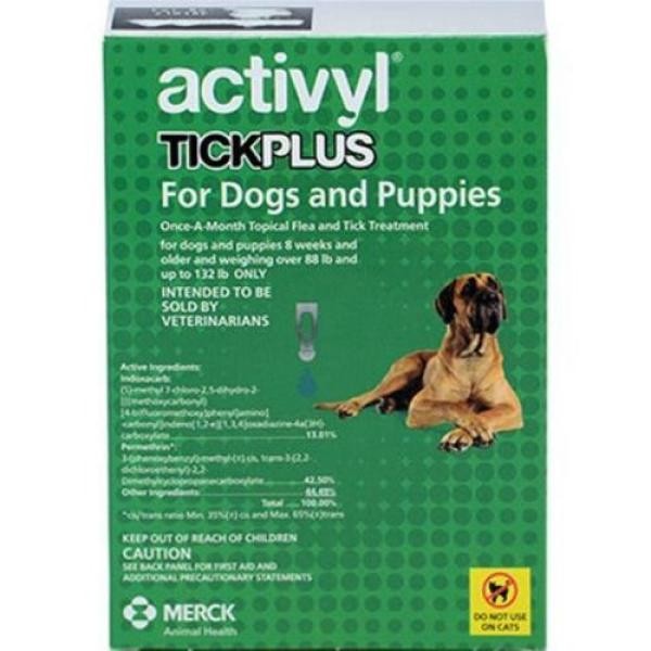 Activyl tick hot sale plus flea